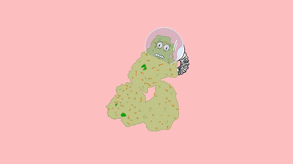 Space Cookies