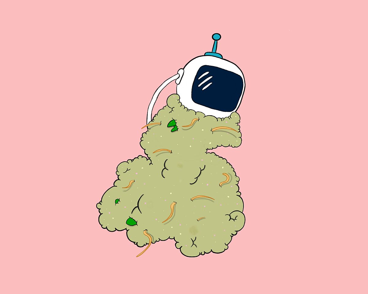 Space Cookies