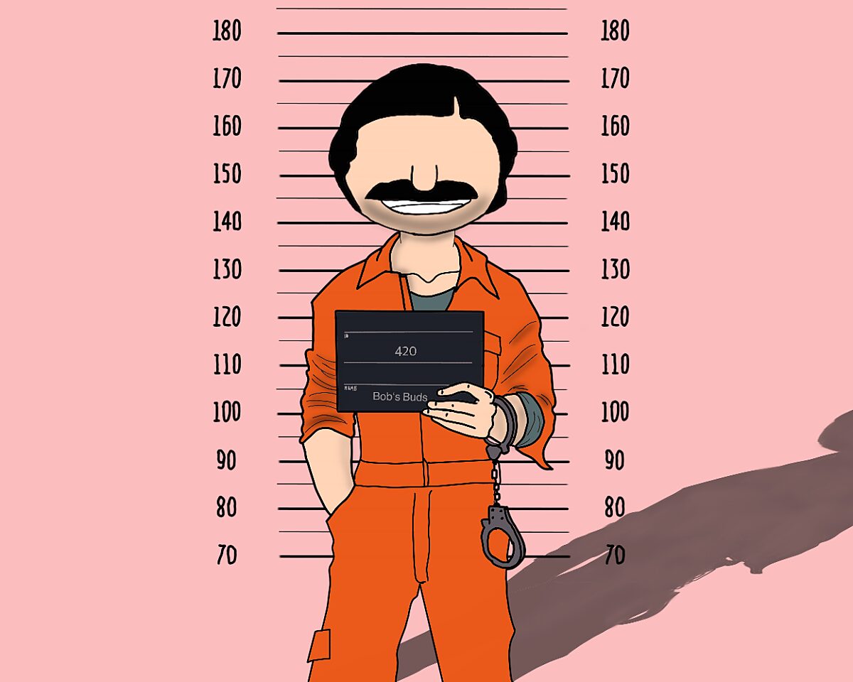 Hanfsamen bestellen legal?